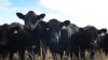 drought plans