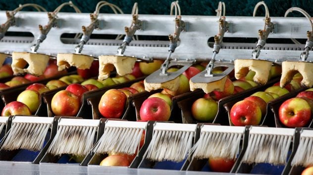 apple processing