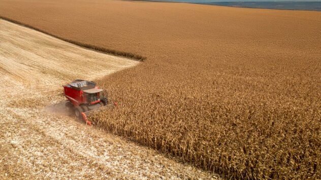 corn-harvest-field-production-ag